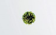 人體呼吸道感染：醫(yī)學(xué)模擬動(dòng)畫